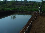 pond
